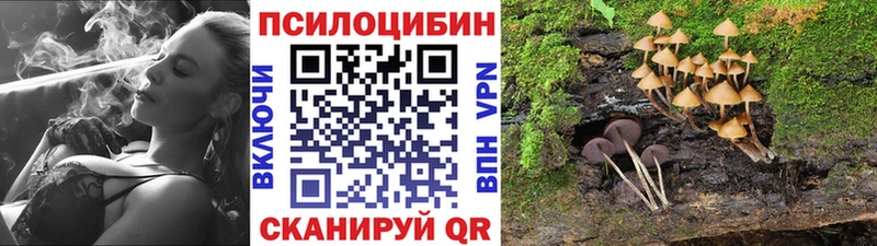 даркнет сайт  Задонск  Галлюциногенные грибы Cubensis 
